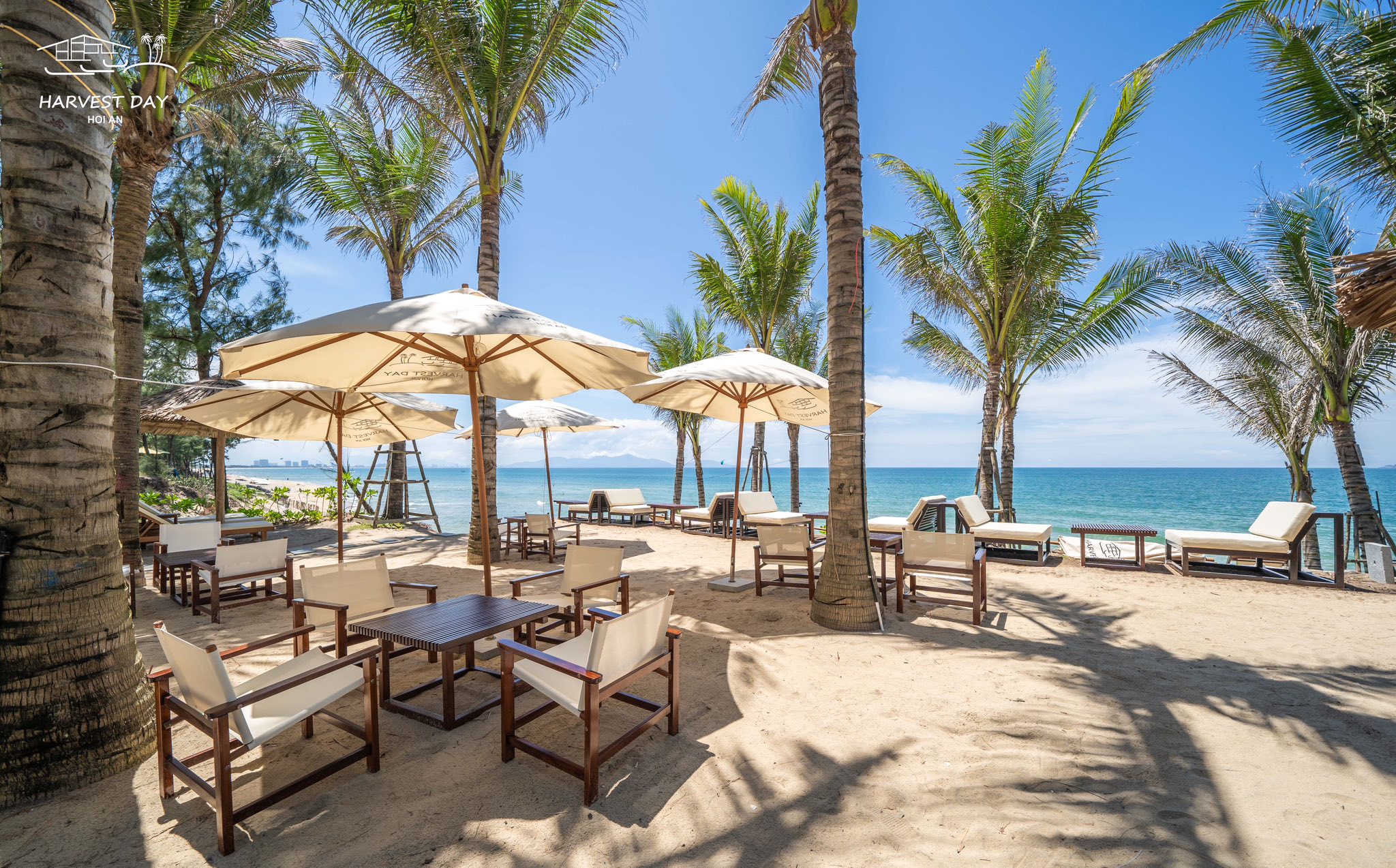 하베스트 데이 호이안 부티크 빌라 (Harvest Day Hoi An Boutique Villas) 5